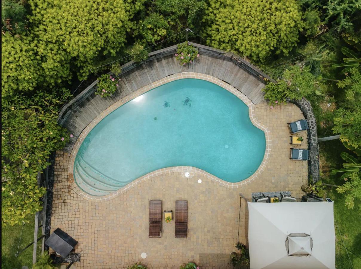 The Koi House With Pool Apartment Kailua-Kona Bagian luar foto